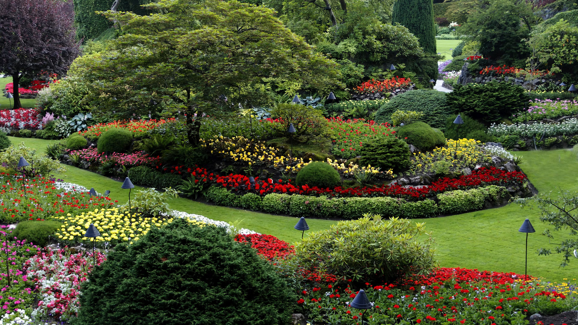 Landscaped residential garden