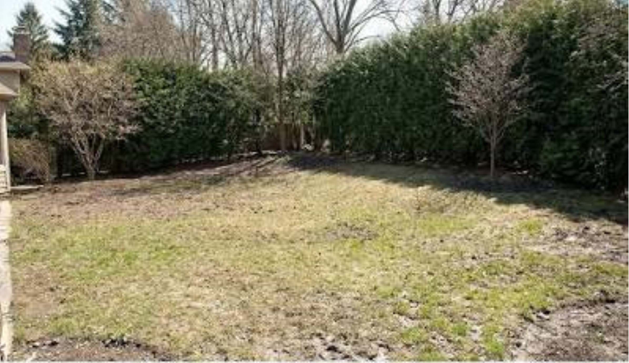 Finished landscaped garden after transformation