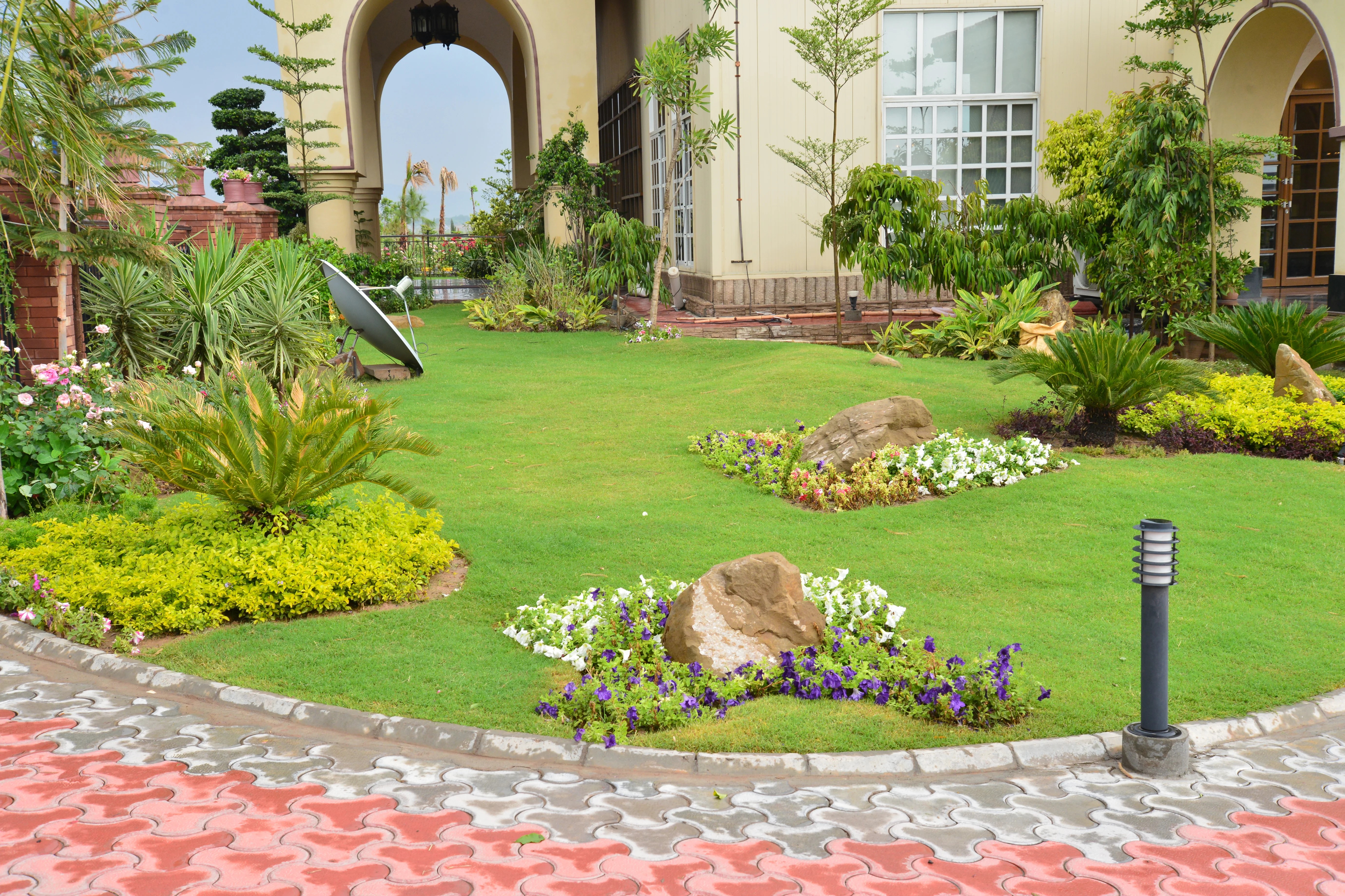 Landscaped residential backyard garden