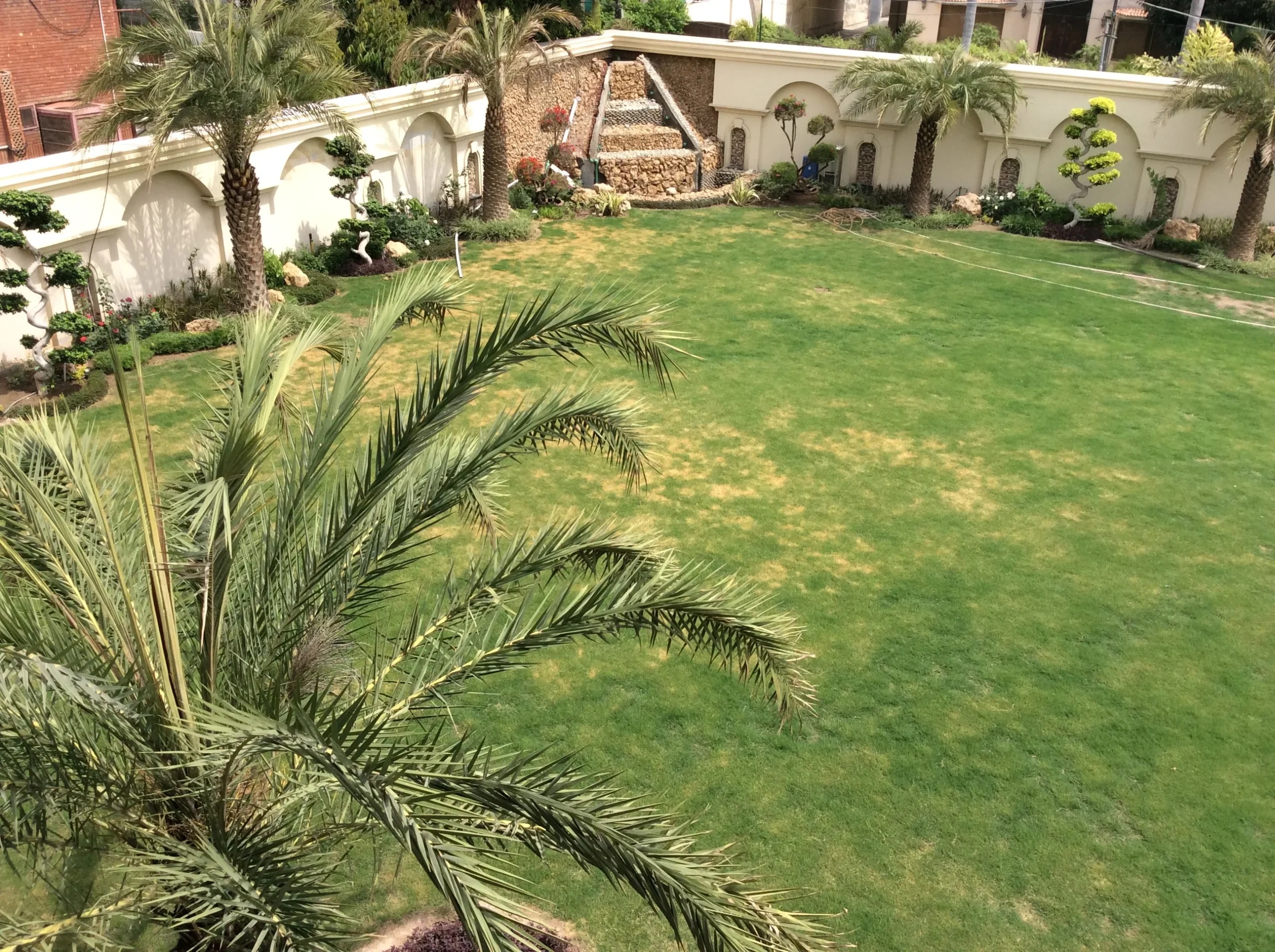 Before landscaping